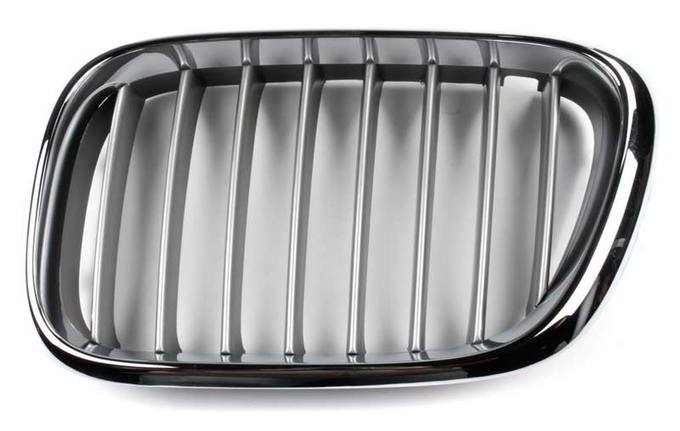 Kidney Grille - Front Driver Side (Titanium)